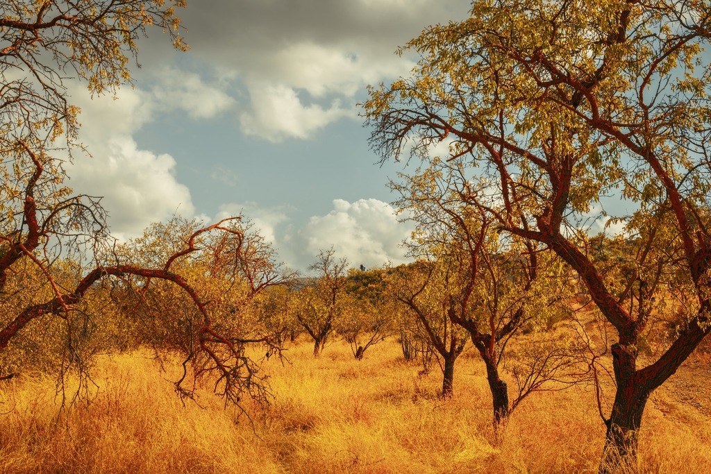 Countryside near our house.