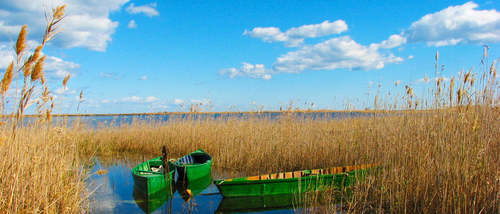 Delta de l'Ebre (1h coche)