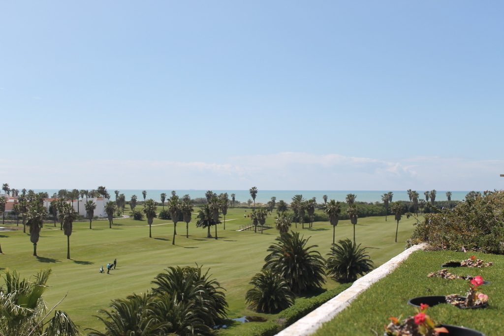 view from the balcony