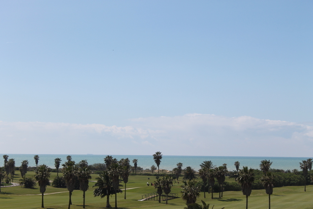 view from the balcony