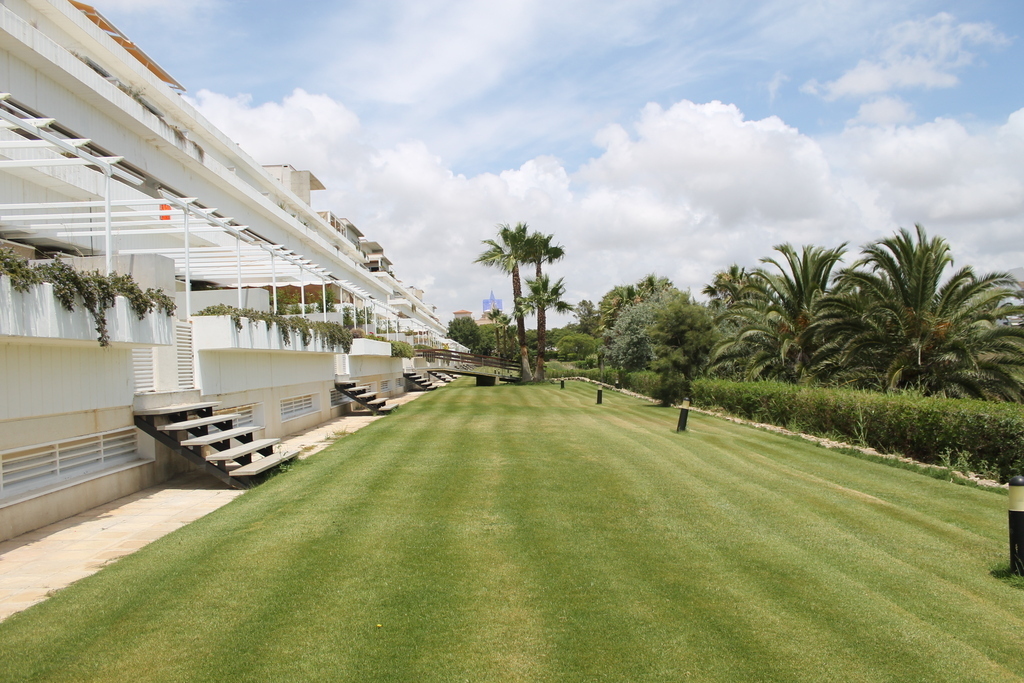 the building and the garden