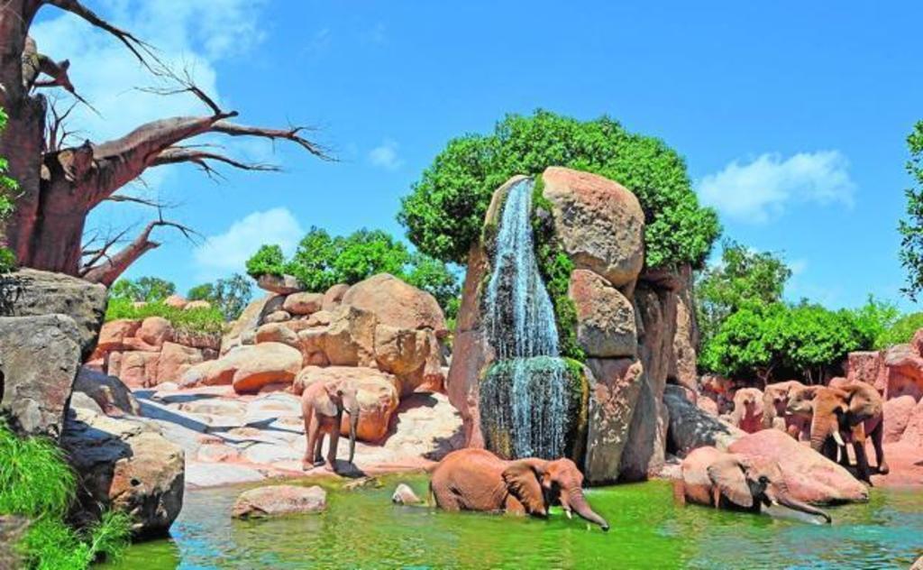 Bioparc