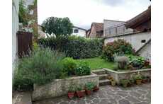 Flowerbed and garden