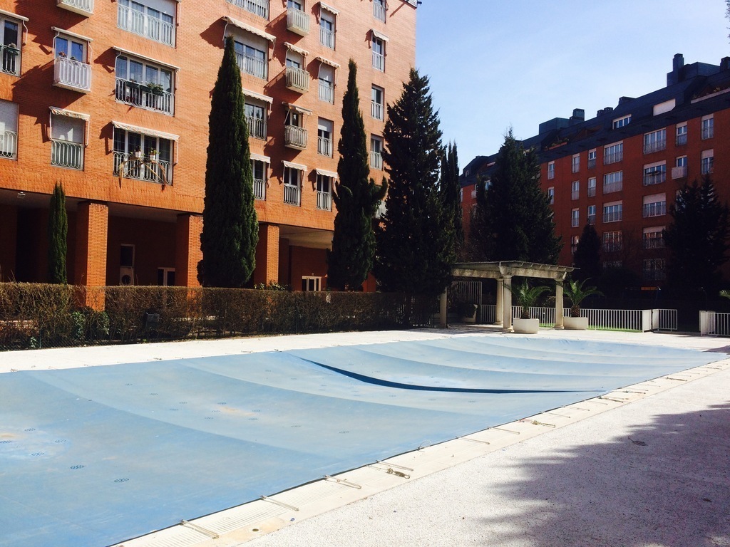 Pool for the neighbors