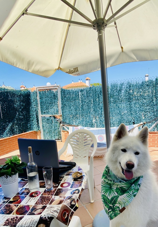 Patio, smartworking :)