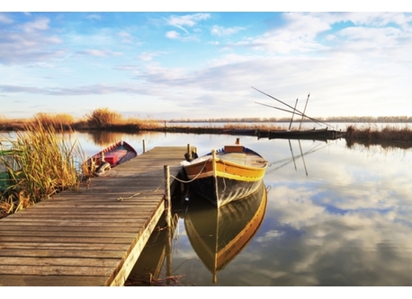 La Albufera (10 km from Valencia)
