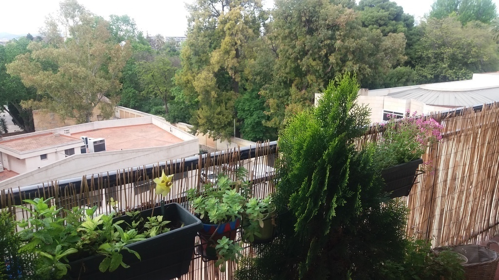 View from the balcony