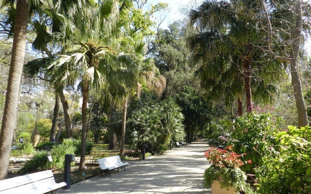 Botanic Garden (in front of our apartment)