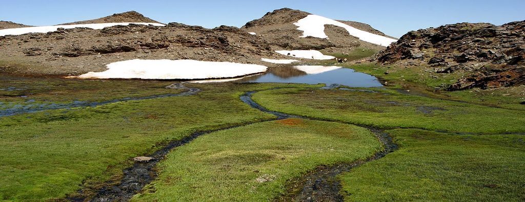 Borreguiles de Sierra Nevada en verano