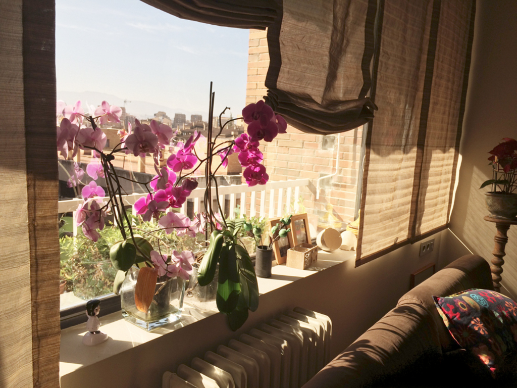 Living room / Salón