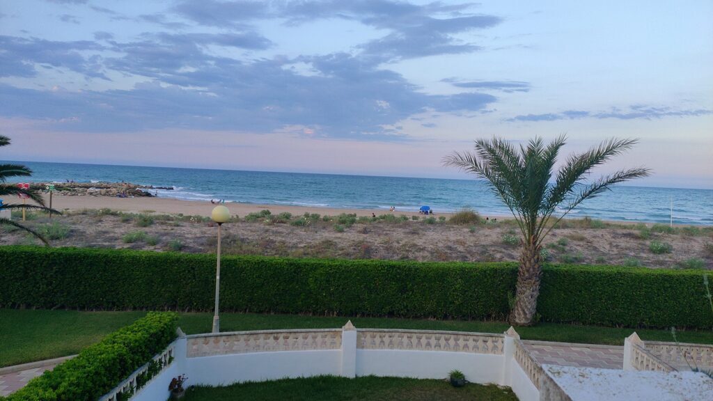 View from the terrace