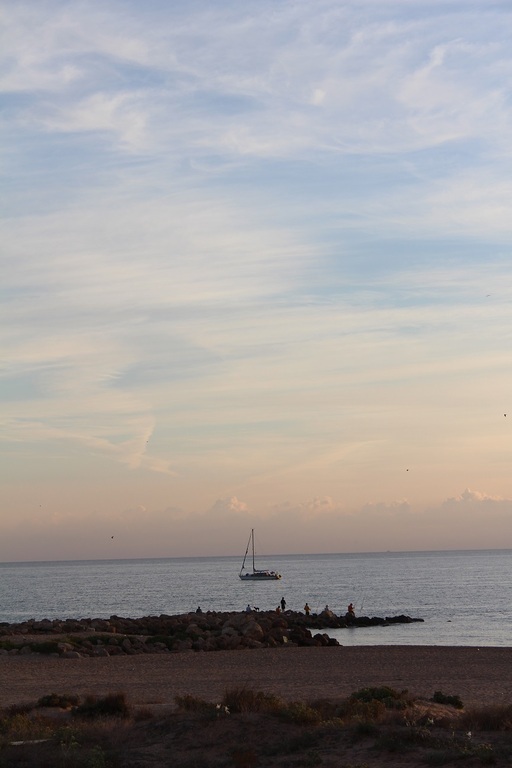 View from the terrace