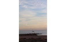 View from the terrace