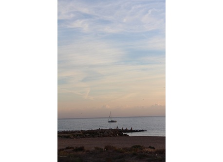 View from the terrace