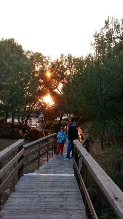 Walking access to the closest beach: Cala Canyadell (unspoilt natural small beach)