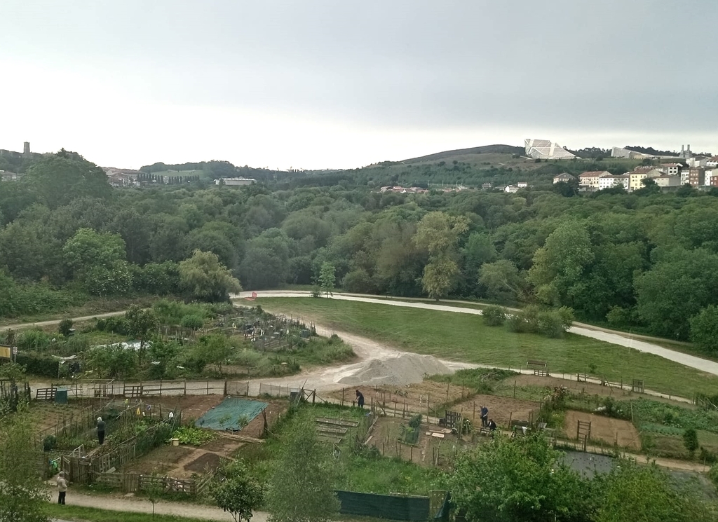 Desde mi ventana.