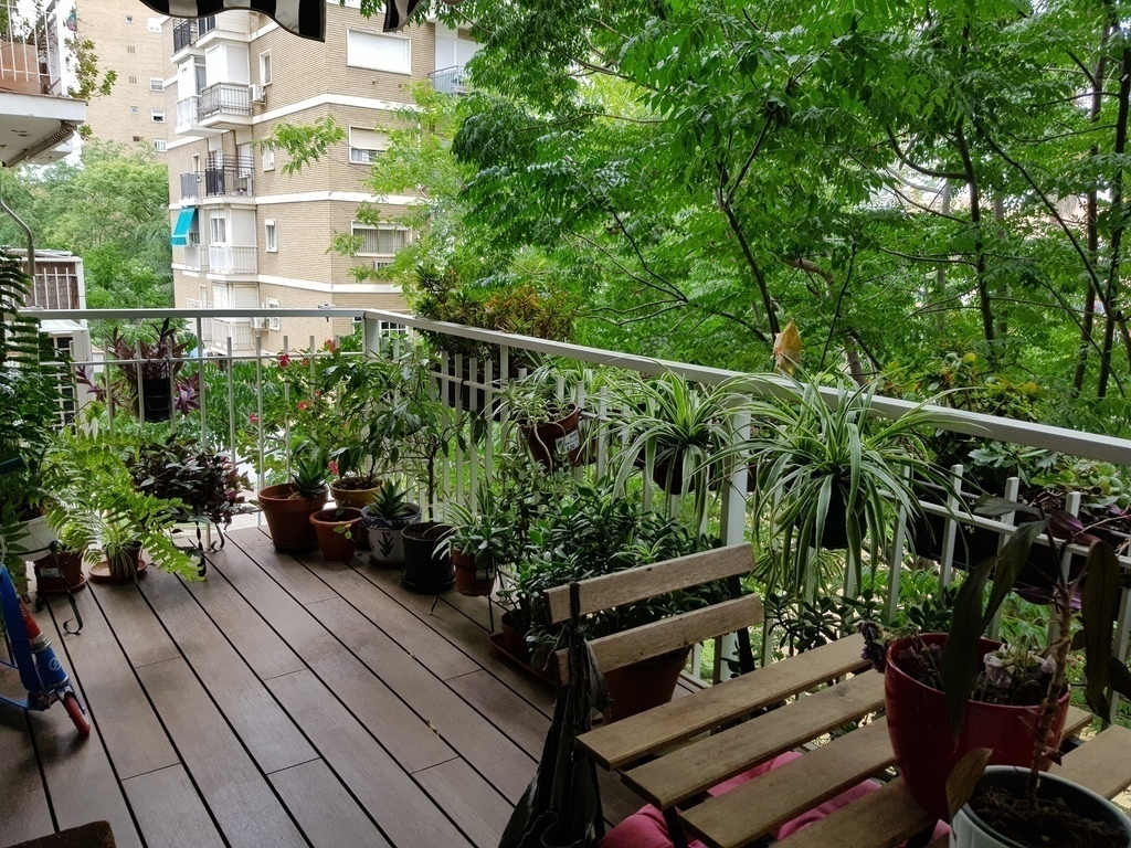 terrace/balcony