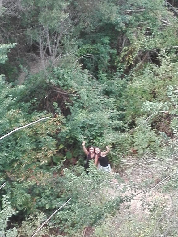 Pequeño bosque cercano
