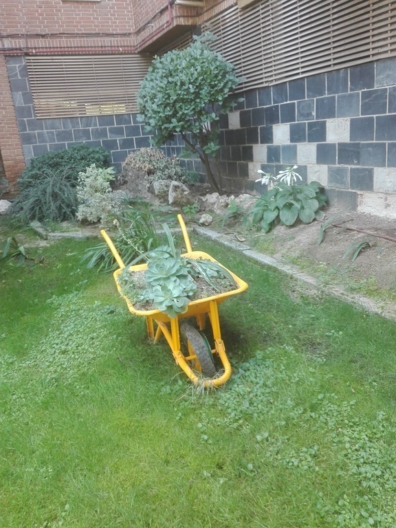Detalle jardin