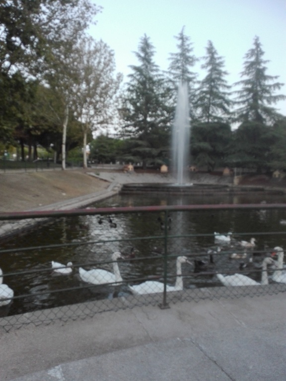 Parque