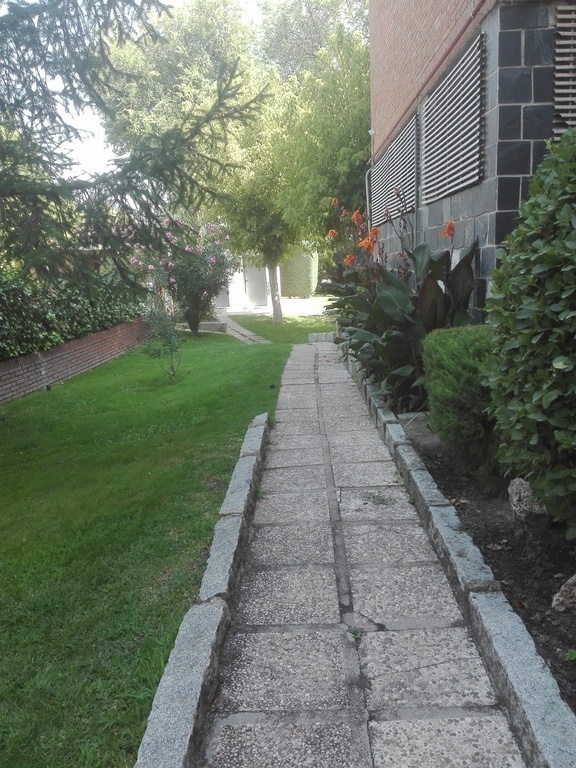 Detalle jardin