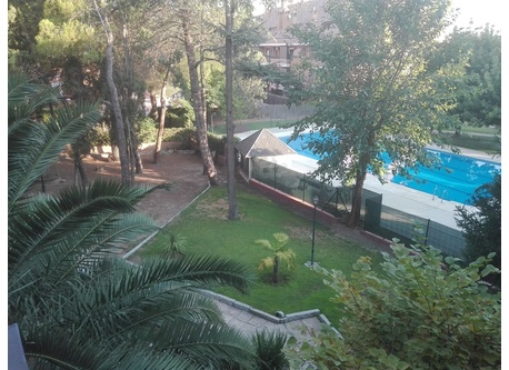 Vista de la piscina desde la casa.