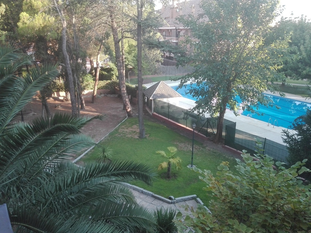 Vista de la piscina desde la casa.