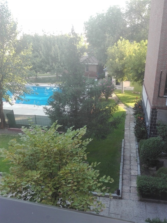 Vista piscina desde casa