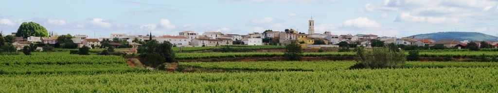 Sant Cugat Sesgarrigues, in the heart of Penedès, completely covered in vineyards