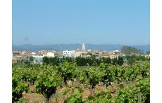 Sant Cugat Sesgarrigues, in the heart of Penedès, completely covered in vineyards
