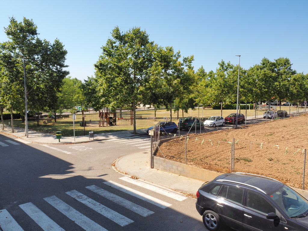 Parc - Park in front of the house