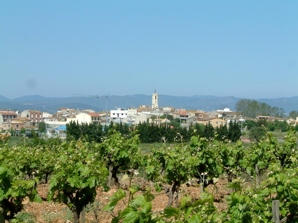 Sant Cugat Sesgarrigues, in the heart of Penedès, completely covered in vineyards