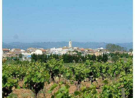 Sant Cugat Sesgarrigues, in the heart of Penedès, completely covered in vineyards