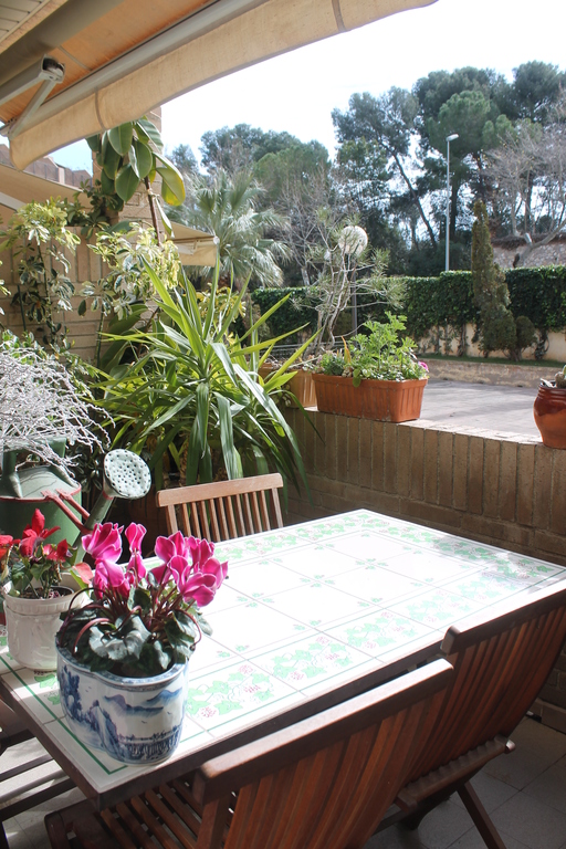 our terrace