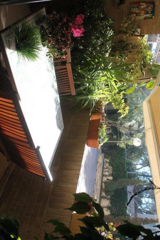 our terrace