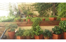 Our backyard last spring...