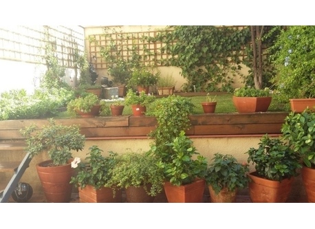 Our backyard last spring...