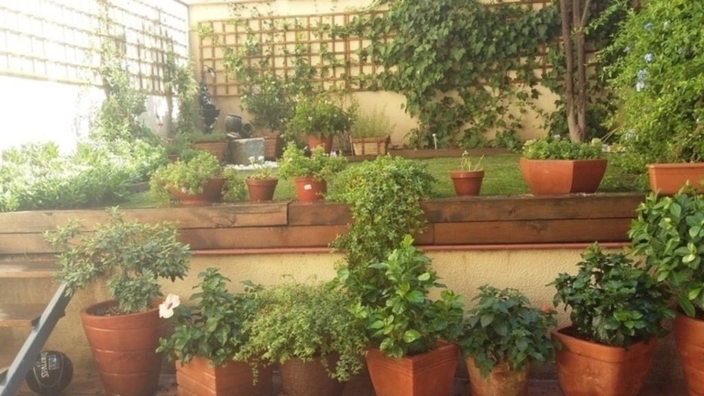 Our backyard last spring...