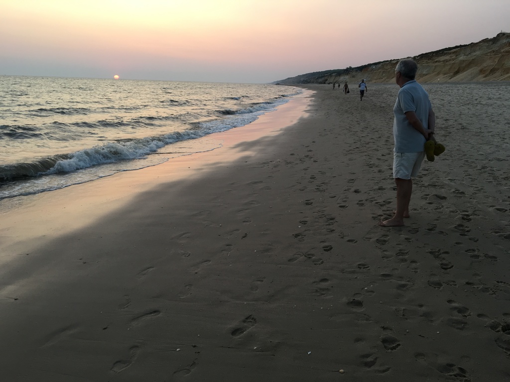 40 km of wild beach next home