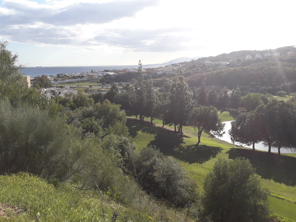 View from the garden