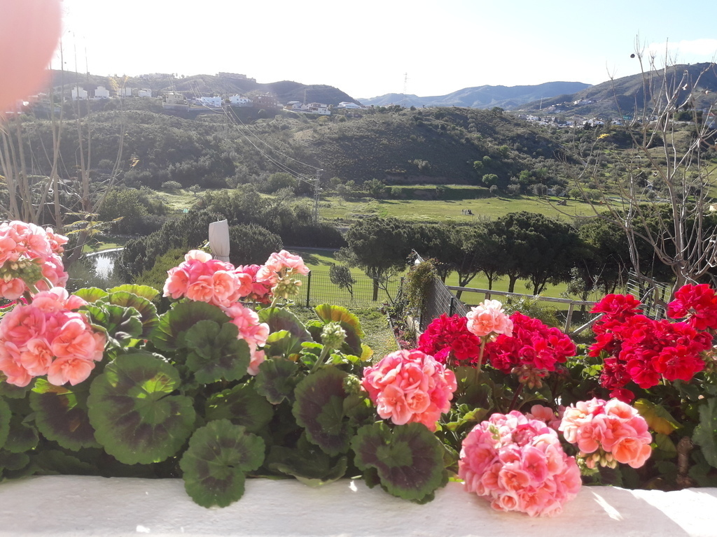 View from the master room