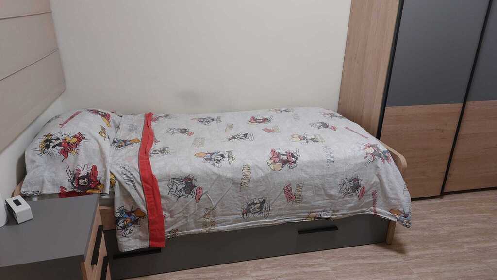 Single Bedroom 2 (with an extra pull-out bed)