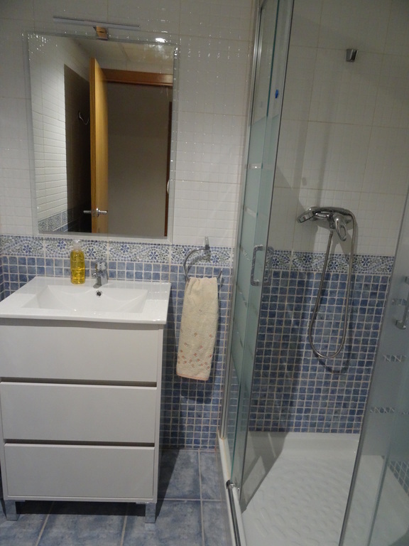 Toilet with a shower