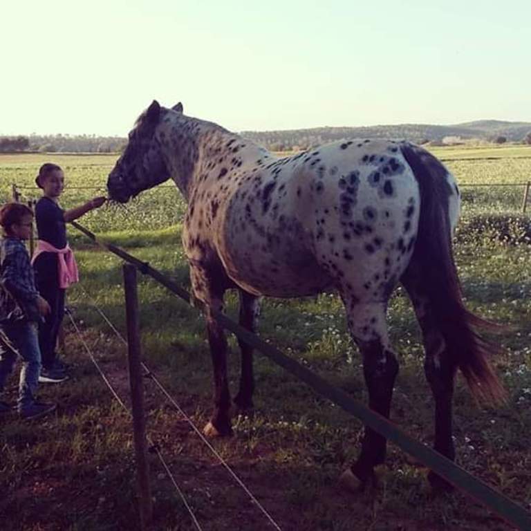 Little surprise having a walk