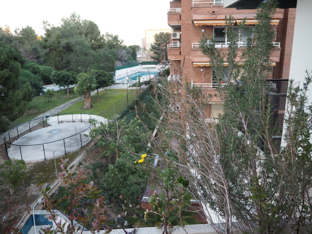 View of the swimming pool from our balcony