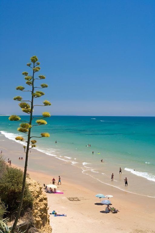 CONIL