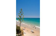CONIL