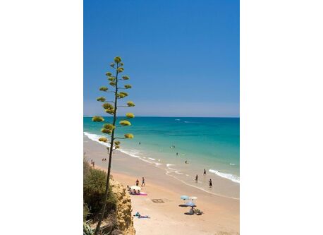 CONIL