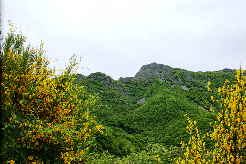 MONTSENY NATURAL PARK