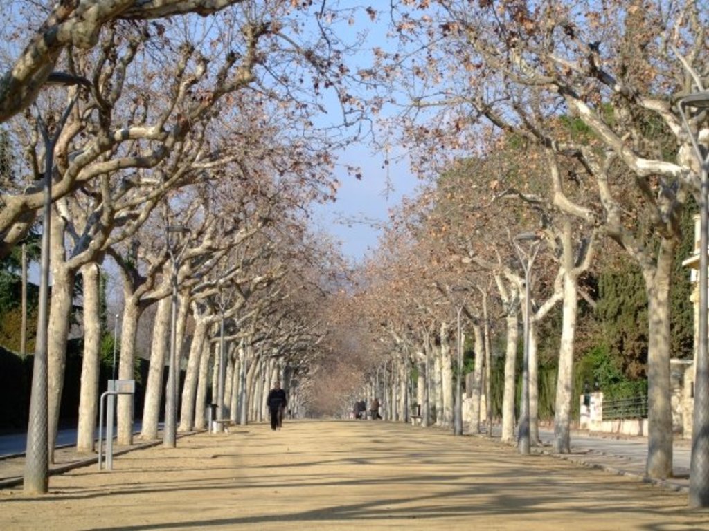 EL PASSEIG DE LA GARRIGA